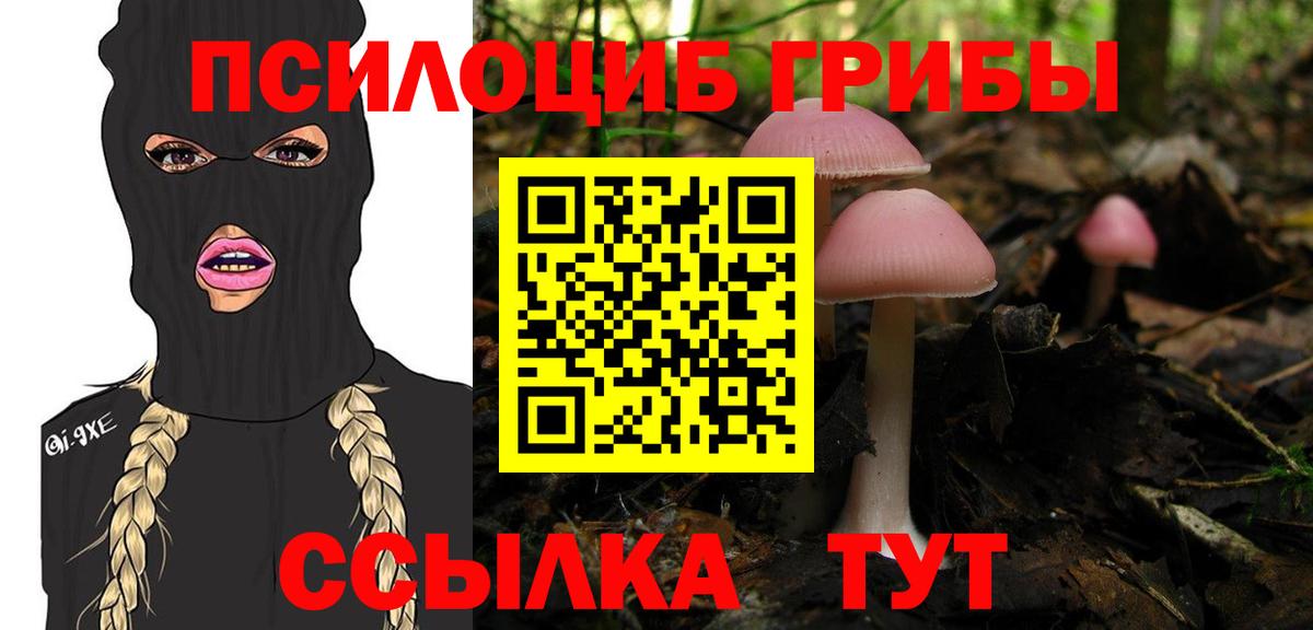 Галлюциногенные грибы ЛСД Хасавюрт